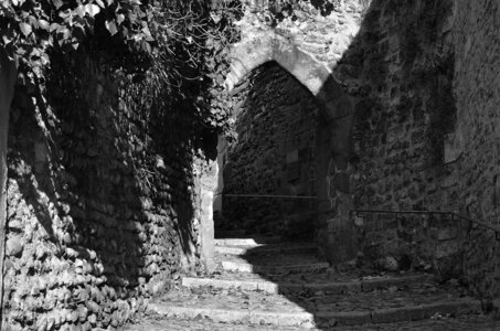 33-Les côtes de Valence, La côte Sylvaner
