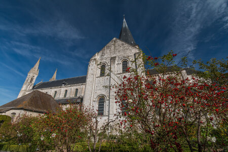 Abbaye et jardin de Saint Martin de Bocherville, IMG_9410