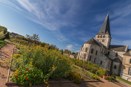 Abbaye et jardin de Saint Martin de Bocherville, IMG_9427