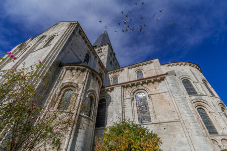 Abbaye et jardin de Saint Martin de Bocherville, IMG_9494