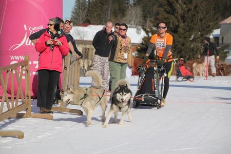 La Pesse 2015 Course de chiens de traineau (part1/2), IMG_4165