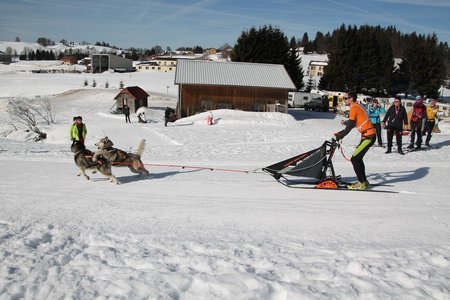 La Pesse 2015 Course de chiens de traineau (part1/2), IMG_4168