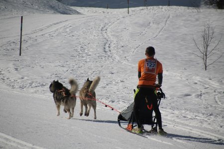 La Pesse 2015 Course de chiens de traineau (part1/2), IMG_4173