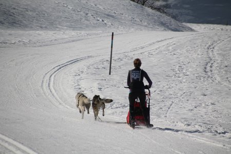 La Pesse 2015 Course de chiens de traineau (part1/2), IMG_4179