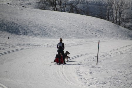 La Pesse 2015 Course de chiens de traineau (part1/2), IMG_4180