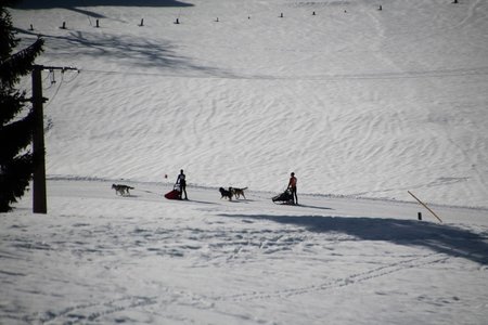 La Pesse 2015 Course de chiens de traineau (part1/2), IMG_4182