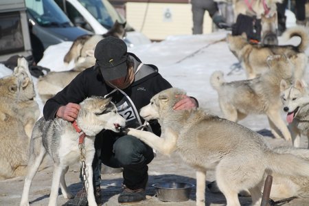 La Pesse 2015 Course de chiens de traineau (part1/2), IMG_4192