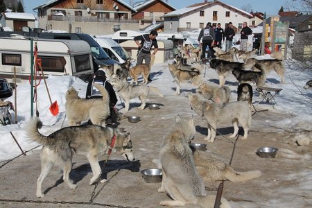 La Pesse 2015 Course de chiens de traineau (part1/2), IMG_4197