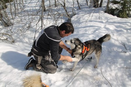 La Pesse 2015 Course de chiens de traineau (part1/2), IMG_4199