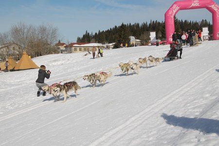 La Pesse 2015 Course de chiens de traineau (part1/2), IMG_4206
