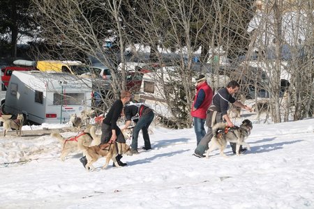 La Pesse 2015 Course de chiens de traineau (part1/2), IMG_4214