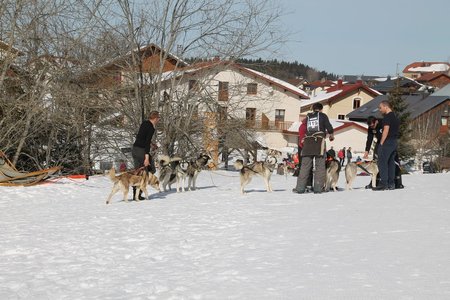La Pesse 2015 Course de chiens de traineau (part1/2), IMG_4216