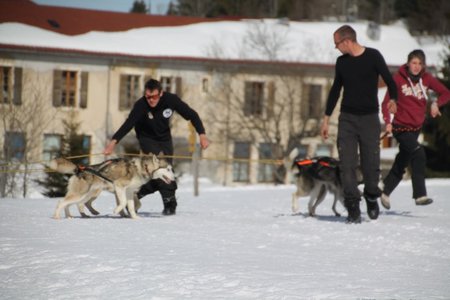 La Pesse 2015 Course de chiens de traineau (part1/2), IMG_4221