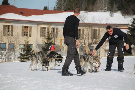 La Pesse 2015 Course de chiens de traineau (part1/2), IMG_4222