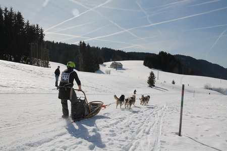 La Pesse 2015 Course de chiens de traineau (part1/2), IMG_4232