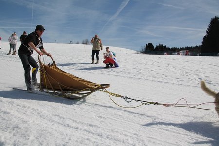 La Pesse 2015 Course de chiens de traineau (part1/2), IMG_4248