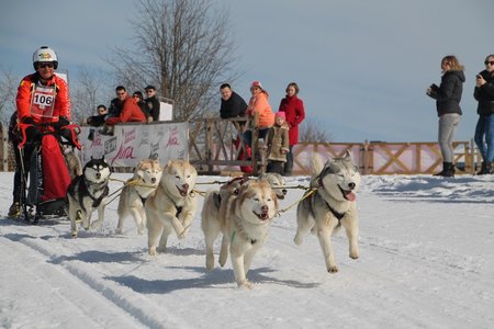 La Pesse 2015 Course de chiens de traineau (part1/2), IMG_4253
