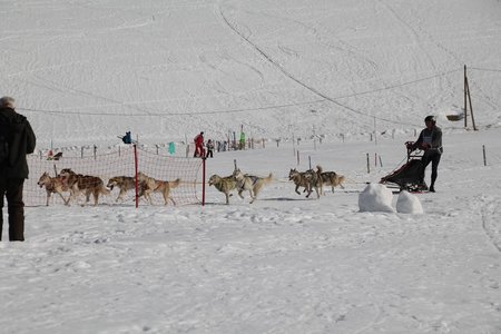 La Pesse 2015 Course de chiens de traineau (part1/2), IMG_4293