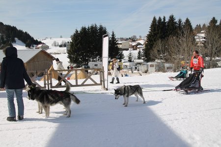 La Pesse 2015 Course de chiens de traineau (part1/2), IMG_4295