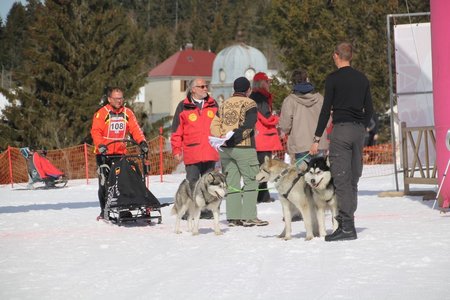 La Pesse 2015 Course de chiens de traineau (part1/2), IMG_4297