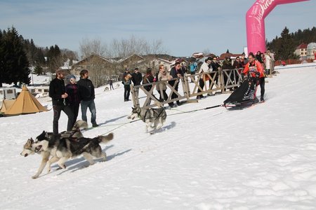 La Pesse 2015 Course de chiens de traineau (part1/2), IMG_4301