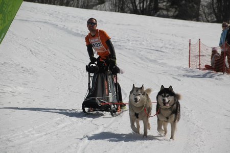 La Pesse 2015 Course de chiens de traineau (part1/2), IMG_4307