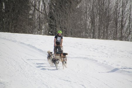 La Pesse 2015 Course de chiens de traineau (part1/2), IMG_4316