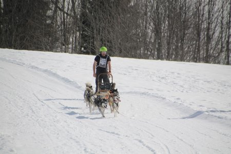 La Pesse 2015 Course de chiens de traineau (part1/2), IMG_4317
