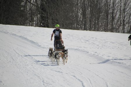 La Pesse 2015 Course de chiens de traineau (part1/2), IMG_4318
