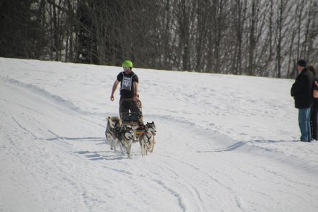 La Pesse 2015 Course de chiens de traineau (part1/2), IMG_4319