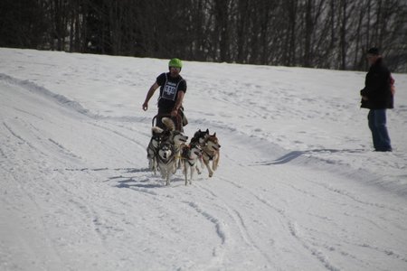 La Pesse 2015 Course de chiens de traineau (part1/2), IMG_4320
