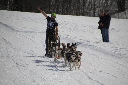 La Pesse 2015 Course de chiens de traineau (part1/2), IMG_4327