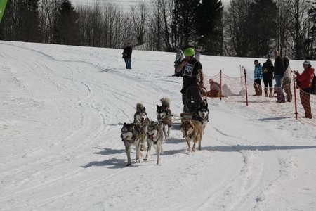 La Pesse 2015 Course de chiens de traineau (part1/2), IMG_4334