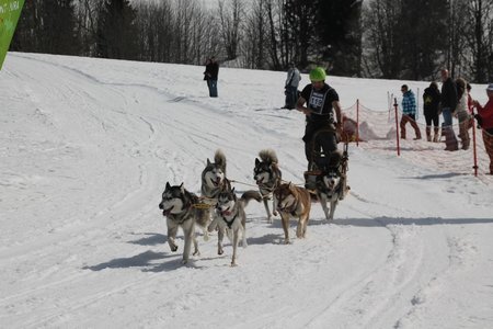 La Pesse 2015 Course de chiens de traineau (part1/2), IMG_4335