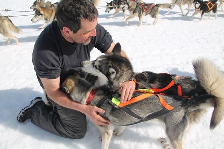 La Pesse 2015 Course de chiens de traineau (part1/2), IMG_4348