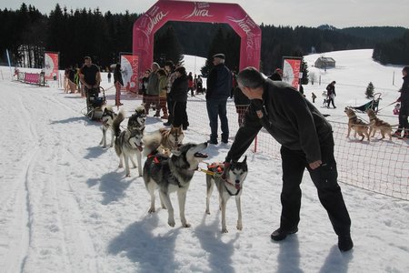 La Pesse 2015 Course de chiens de traineau (part1/2), IMG_4360