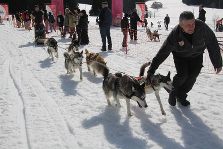 La Pesse 2015 Course de chiens de traineau (part1/2), IMG_4361