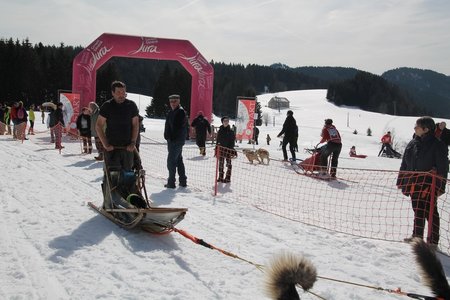 La Pesse 2015 Course de chiens de traineau (part1/2), IMG_4365