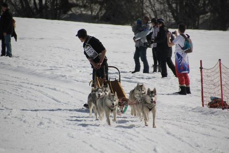 La Pesse 2015 Course de chiens de traineau (part1/2), IMG_4370