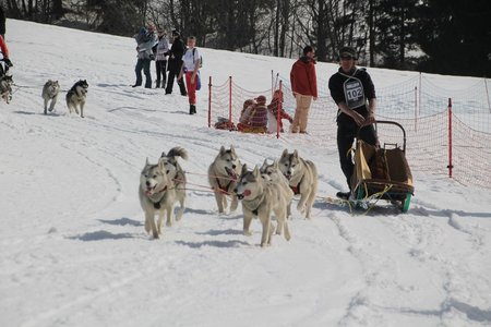 La Pesse 2015 Course de chiens de traineau (part1/2), IMG_4373