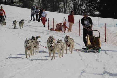 La Pesse 2015 Course de chiens de traineau (part1/2), IMG_4374