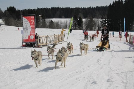 La Pesse 2015 Course de chiens de traineau (part1/2), IMG_4376