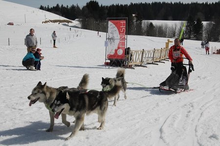 La Pesse 2015 Course de chiens de traineau (part1/2), IMG_4379