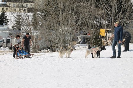La Pesse 2015 Course de chiens de traineau (part1/2), IMG_4380