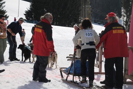La Pesse 2015 Course de chiens de traineau (part1/2), IMG_4384