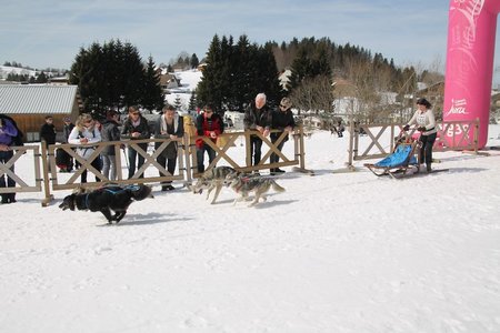 La Pesse 2015 Course de chiens de traineau (part1/2), IMG_4387