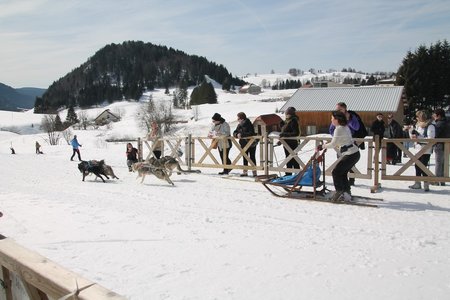 La Pesse 2015 Course de chiens de traineau (part1/2), IMG_4388