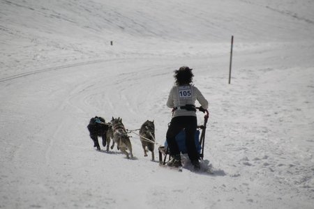 La Pesse 2015 Course de chiens de traineau (part1/2), IMG_4392