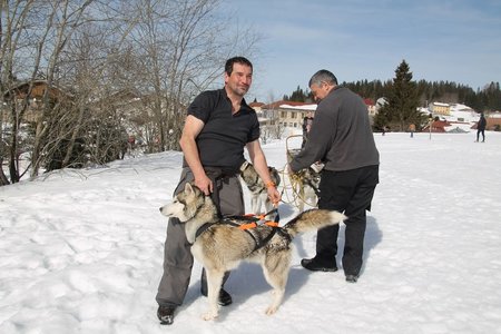La Pesse 2015 Course de chiens de traineau (part1/2), IMG_4393