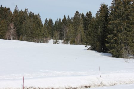 La Pesse 2015 Course de chiens de traineau (part1/2), IMG_5663